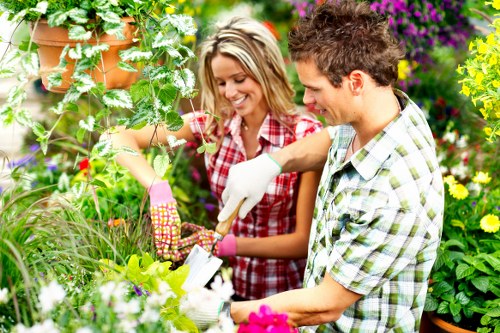 Professional crown thinning for a commercial or rural property in Foresthill