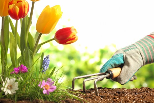 Emergency readiness and first aid equipment for arboricultural work
